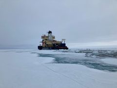 Measurements were taken at 13 different locations in the Arctic Ocean (photo: Lisa W. von Friesen)