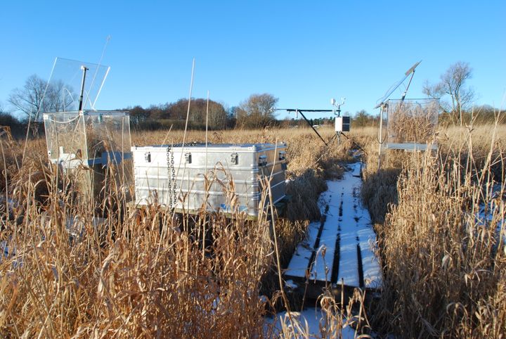 Bo Elberling og hans kolleger har studeret Maglemosen 20 kilometer nord for København - en mose som har fået lov at passe sig selv i over 100 år, og som på mange måder er repræsentativ for lavbundsjorde i resten af Danmark.