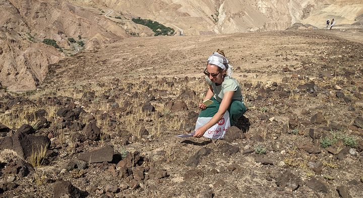 Amaia Arranz Otaegui, medforfatter til studiet, indsamler vilde planter i Ma'in i Jordan.
