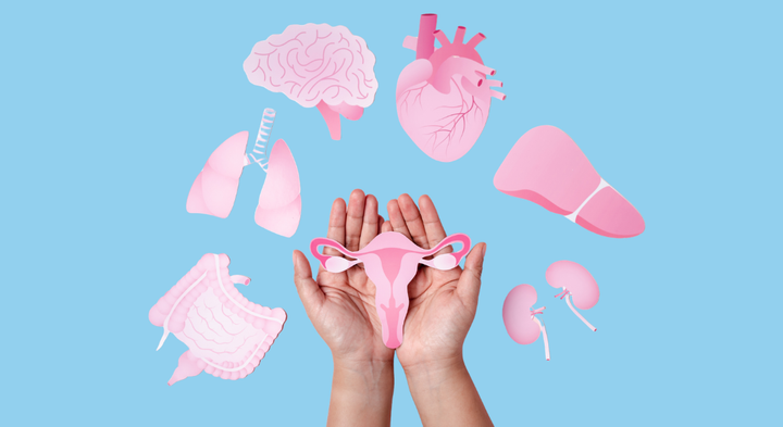 "Der findes meget misinformation om overgangsalderen, og vi har haft ambitionen om at skabe ét sted hvor evidensbaseret viden er samlet og tilgængelig,” siger lektor Lasse Gliemann, leder af forskningsprojektet Kvinder i Sund Overgang (KiSO), som står bag den nye vidensportal.