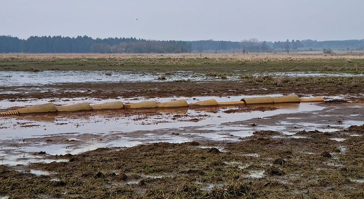 Engarealer ved Ulkestrup Lyng syd for Mørkøv. Jorden er sunket så meget, at drænrørene ligger oven på jorden.
