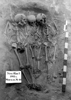 Ust’Ida I-grav nr. 44; denne fællesgrav indeholder tre individer, hvoraf to ved hjælp af ancient DNA blev identificeret som halvsøstre (med samme mor), i alderen 9-10 år og 5-6 år. Den tredje person i graven er en dreng på 11-12 år, som ikke er nært beslægtet med nogen af halvsøstrene, men blev begravet samtidig i samme grav som dem, og som forskerne fandt havde pest-DNA.