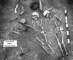 Ust’Ida I-grav nr. 25; to af de begravede i denne grav var helsøskende: en bror (7-9 år) og en søster (9-11 år), hvorfra pest-DNA blev identificeret. Der var ikke nok bevarede rester af det tredje individ til også at kunne analysere dem.