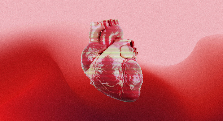 "Mekanismen giver os en samlet forklaring på sygdomme, som vi tidligere har haft svært ved at forstå," siger Søren Tvorup Christensen, professor i cellebiologi og medforfatter på et nyt studie om mekanismen i hjertet.
