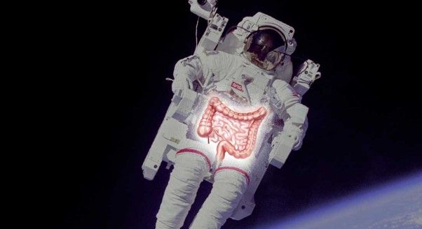 Forskerne har målt metabolitter i blodet og fundet ud af, at der sker øget proteinfermentering i tarmene, når astronauter forlader jorden og tyngdekraften.