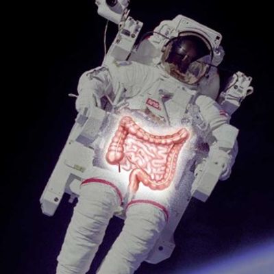 Description of the image