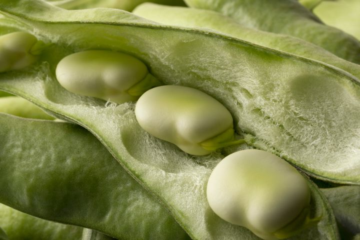 “We want to support industry efforts towards what is known as clean labelling – meaning products without additives or E-numbers. This is something many consumers are increasingly looking for,” says professor Lene Jespersen.