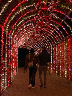 Man bliver mødt at smukke lysrum helt fra indgangen af Aalborg Zoo