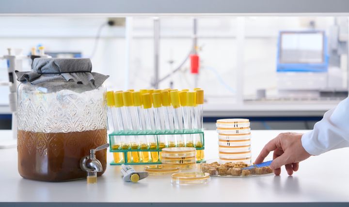 Fermenteringskande og produkter