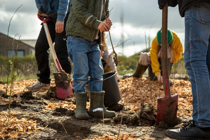 Foto fra mikroskov-plantning i Middelfart, forår 2024