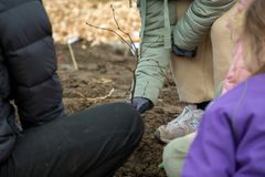 Foto fra mikroskov-plantning i Middelfart, forår 2024