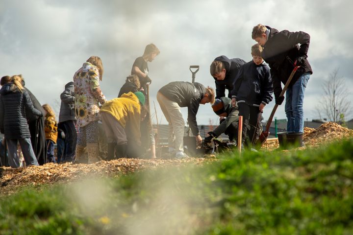 Foto fra plantning af mikroskov i Middelfart, forår 2024