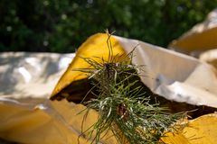 Foto: Sunset Boulevard