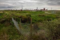 Forureningen på den tidligere fabriksgrund skal nu inddæmmes for at beskytte omgivelserne og danne grundlag for en senere oprensning.