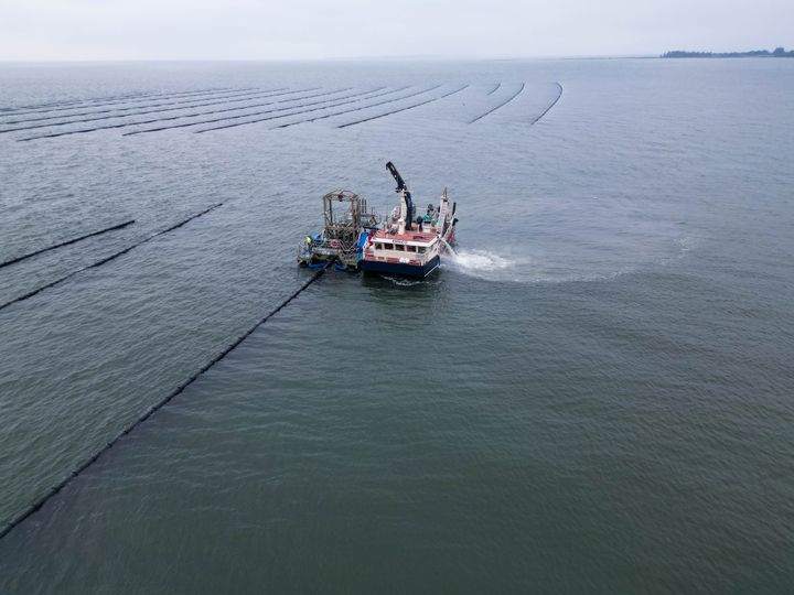 Bl%E5%20Biomasses%20h%F8stfart%F8j%20p%E5%20havet.