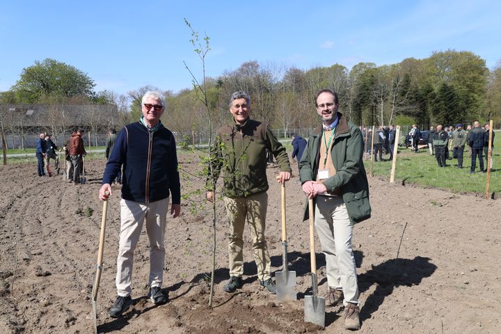 Tre mænd står ved siden af nyplantede træer med skovle i hænderne på en mark ved Hindsgavl Slot. Flere mennesker ses i baggrunden.