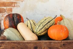 Dagrofa Foodservice og Aarstiderne Engros forener nu kræfterne for at få endnu flere økologiske råvarer på menuen i storkøkkener, kantiner og restauranter.