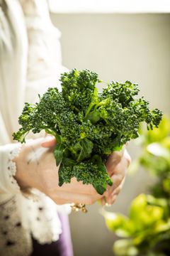 Dagrofa Foodservice og Aarstiderne Engros forener nu kræfterne for at få endnu flere økologiske råvarer på menuen i storkøkkener, kantiner og restauranter.