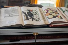 I Kongens Håndbibliotek kan man se et lille udvalg af naturhistoriske værker fra grundlæggeren Frederik 5.s tid midt i 1700-tallet.