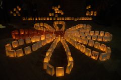 Lysceremonien på Koldinghus finder sted lørdag 26. oktober i Ruinsalen på Koldinghus.  Under ceremonien vil lysposer blive arrangeret i Knæk Cancer-logoets karakteristiske blomsterformation. Foto fra Tænd-et-lys på Koldinghus i 2022.