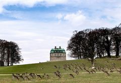 Den Kongelige Samling åbner sæsonen på Eremitageslottet i denne weekend 18.–19. april med to arrangementer, der sætter fokus på den kongelige jagt som historisk, politisk og kulturelt fænomen. Gennem foredrag og naturvandring udfoldes parforcejagtens betydning for landskabet, ved hoffet og sættes i kontekst til nutidens natursyn i samarbejde med Museum Nordsjælland.