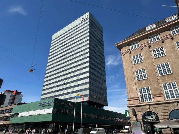 SAS Hotel set fra frøperspektiv