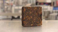 Visibuilt udvikler et biologisk baseret bindemiddel af mycelium, der kan erstatte fossilt fremstillede bindemidler, der bruges i belægninger af beton og asfalt. I billedet ses en belægningssten fra virksomheden.