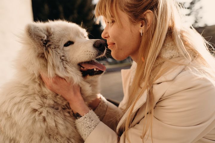 Pas godt på familiens bedste ven med en hundeforsikring.