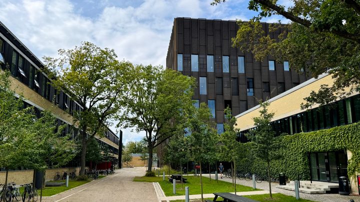 Climate Challenge Laboratory i den nye bygning 313 på Lyngby Campus er et af de forskningsinitiativer, der kom til i 2024. Foto: DTU/Sole Bugge Møller