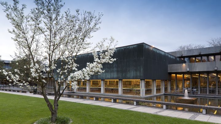 Eksteriør fra Grønnegården på DTU Lyngby Campus med træ i blomst i forgrunden, og Glassalen i baggrunden.
