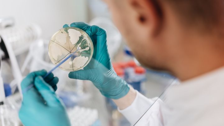 Størstedelen af de danske patentansøgninger er indenfor feltet bioteknologi, hvor DTU er blandt de førende forskningsinstitutioner i verden. Foto: Kasper Løjtved