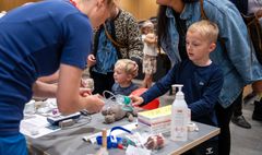 Der var mange bamser, der skulle tilses i bamseklinikken