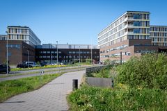 Asfalteret vej, grønt græs og blomster med et hospital i baggrunden.