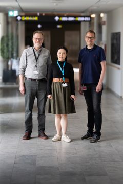 Samarbejdet trækker på unikke data fra Steno Diabetes Centrenes nationale patientundersøgelser, hvor både blodprøver og hjerteskanninger giver forskerne mulighed for at koble laboratoriefund til virkelige patientforløb. Fra venstre: Professor Jacob Fog Bentzon, Lektor Lin Lin, og professor og forskningschef Niels Jessen.