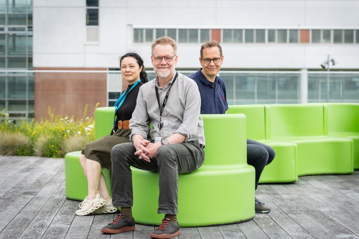Det anslås, at omkring 250.000 danskere lider af åreforkalkning i en eller anden grad. Nu skal forskere kigge nærmere på sammenhængen mellem unormal fedtophobning i blodårer og udviklingen af åreforkalkning. Fra venstre: Lektor Lin Lin, professor Jacob Fog Bentzon og professor og forskningschef Niels Jessen.