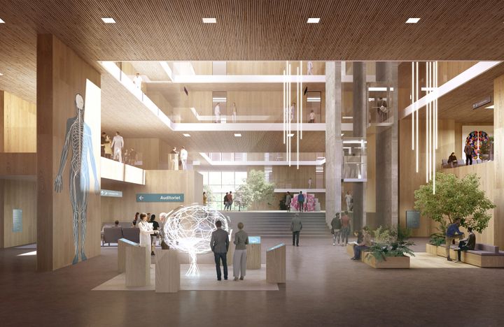 Foreløbig visionsskitse af HJERNEUNIVERSET, Kumulus