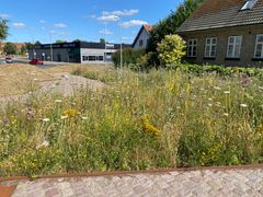 Foto af Klimatilpasningsprojektet “Træøen” i Odense.