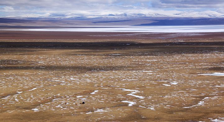 Billedbeskrivelse: Det Tibetanske Plateau strækker sig med sneklædte bjergtoppe i baggrunden og et tørt, fladt landskab i forgrunden.