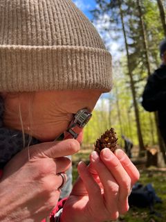 Skovskolens Naturvejlederuddannelse er en akkrediteret uddannelse på akademiniveau. Det vil sige, at den henvender sig til voksne med relevant erhvervserfaring og kan tages på fuld tid eller på deltid ved siden af jobbet.