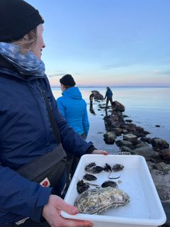 En del af undervisningen på Naturvejlederuddannelsen vil foregå på Skovskolen Djursland, men der bliver også mange ekspeditioner ud af huset: ”Vi skal besøge mange forskellige lokaliteter - strand, det åbne land og by. Vi lægger vægt på at gøre undervisningen stedbaseret, og vi taler ikke om noget, vi ikke kan vise eller røre ved. Derfor skal vi ud på tur,” siger studieleder Johanne Christiani.