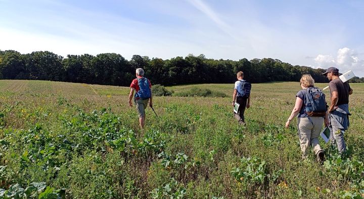 The field borders an old oak dominated forest from which a small amount of soil will be collected for the field inoculation experiment.