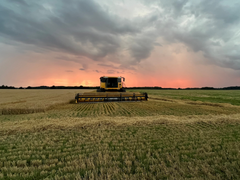 Mejetærsker på mark med vårbyg i Haderslev, Danmark.