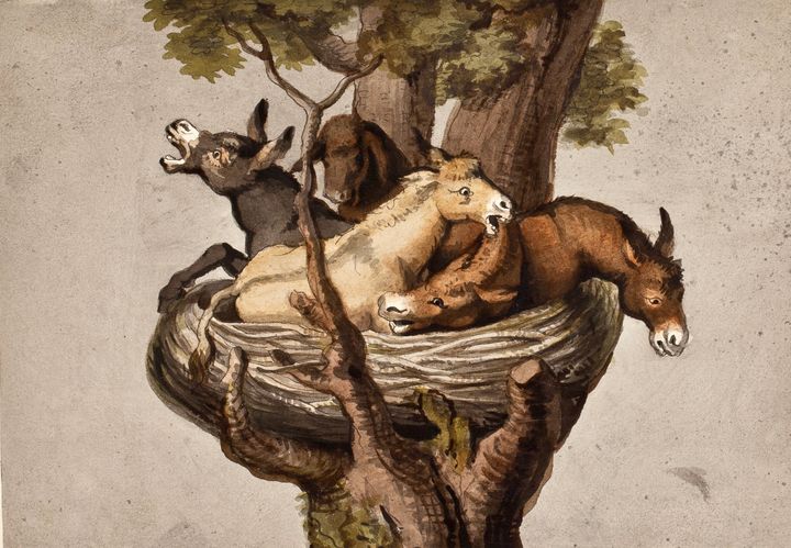 J.H.W. Tischbein, Æsler i kurv,1825 fra Friederike Bruns stambog