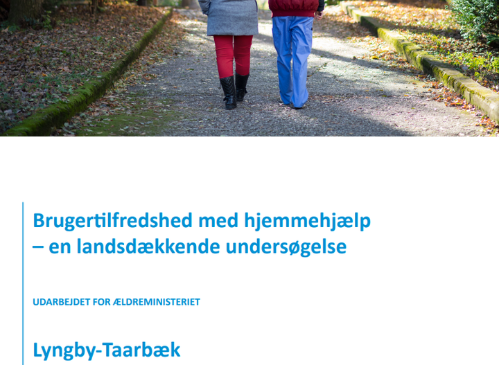 Undersøgelsens forside