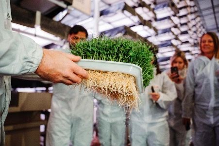Hvordan gør vi convenience mere bæredygtigt i fremtiden? Det skal udvalgte medarbejdere fra Reitangruppen fra syv lande og et internationalt panel af eksperter være med til at finde svaret på gennem innovationsprogrammet Convenience Growth Camp.