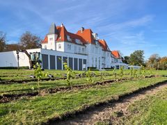 PR-FOTO: Comwell Kellers Park glæder sig til at høste druerne fra hotellets nye vinmark