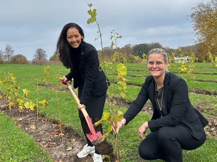 PR-FOTO: Maria Munkebo, hotelchef på Comwell Kellers Park og Puk Overgaard, Restaurantchef og sommelier på Comwell Kellers Park, sætter vinstok i jorden.