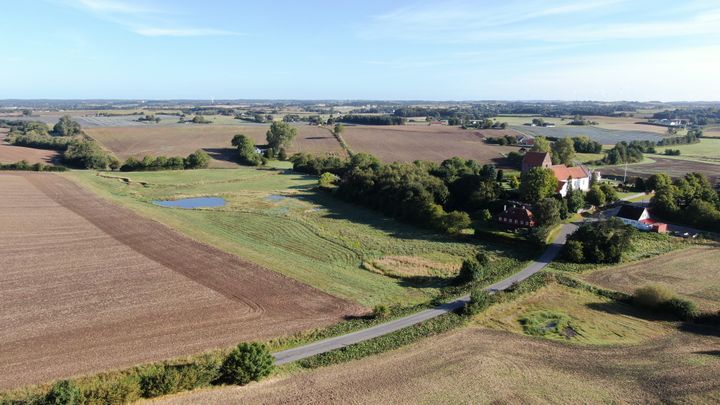 Danmarks første "Fast track" vådområde, som er etableret på et 3 hektar stort areal ved Gamtofte - ejet af Brahesborg Gods. Vådområdet er et pilot-projekt, som er mundet ud i udviklingen af en ny ”fast track”-model, som kan benyttes af lodsejere, kommuner og rådgivere til hurtigere at kunne udtage mindre landbrugsarealer til vådområder fremover på en mindre resursetung måde.