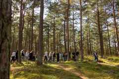 Foto fra vandreforestillingen Hjemstavn - en rejse i tid, sted og ophav opført i Grenå Plantage i efteråret 2024.