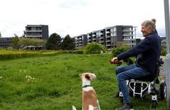 Kaare Sand elsker at gå tur med sin hund, Terry. Han lever for livets små øjeblikke. De øjeblikke han har brugt sin tv-karriere på at fortælle om i reportageprogrammer.